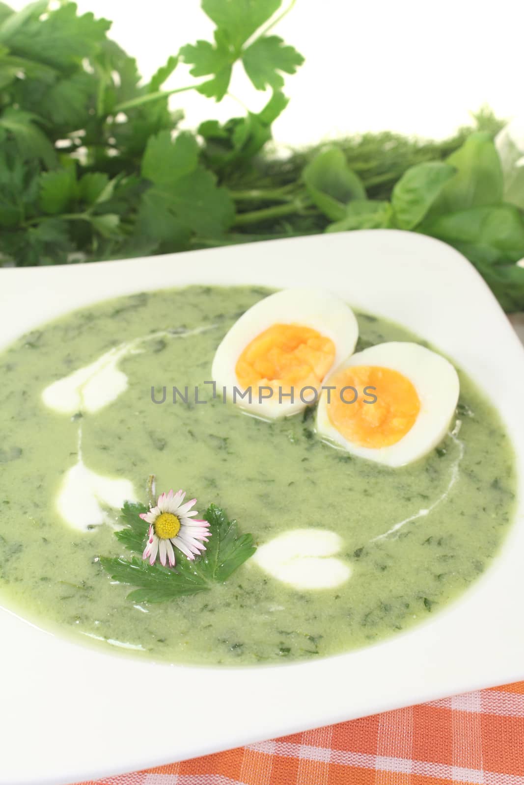 green herbs soup with eggs and a dollop of cream by discovery
