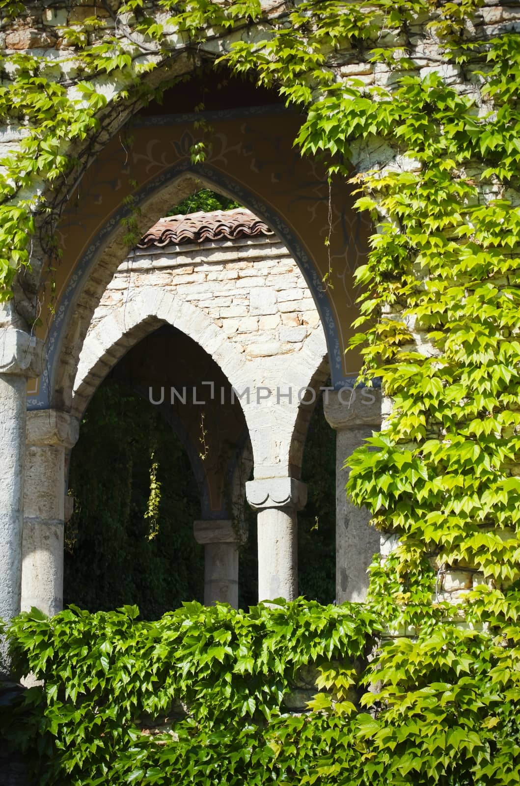 Medieval Arch Over Green Leaf Background 