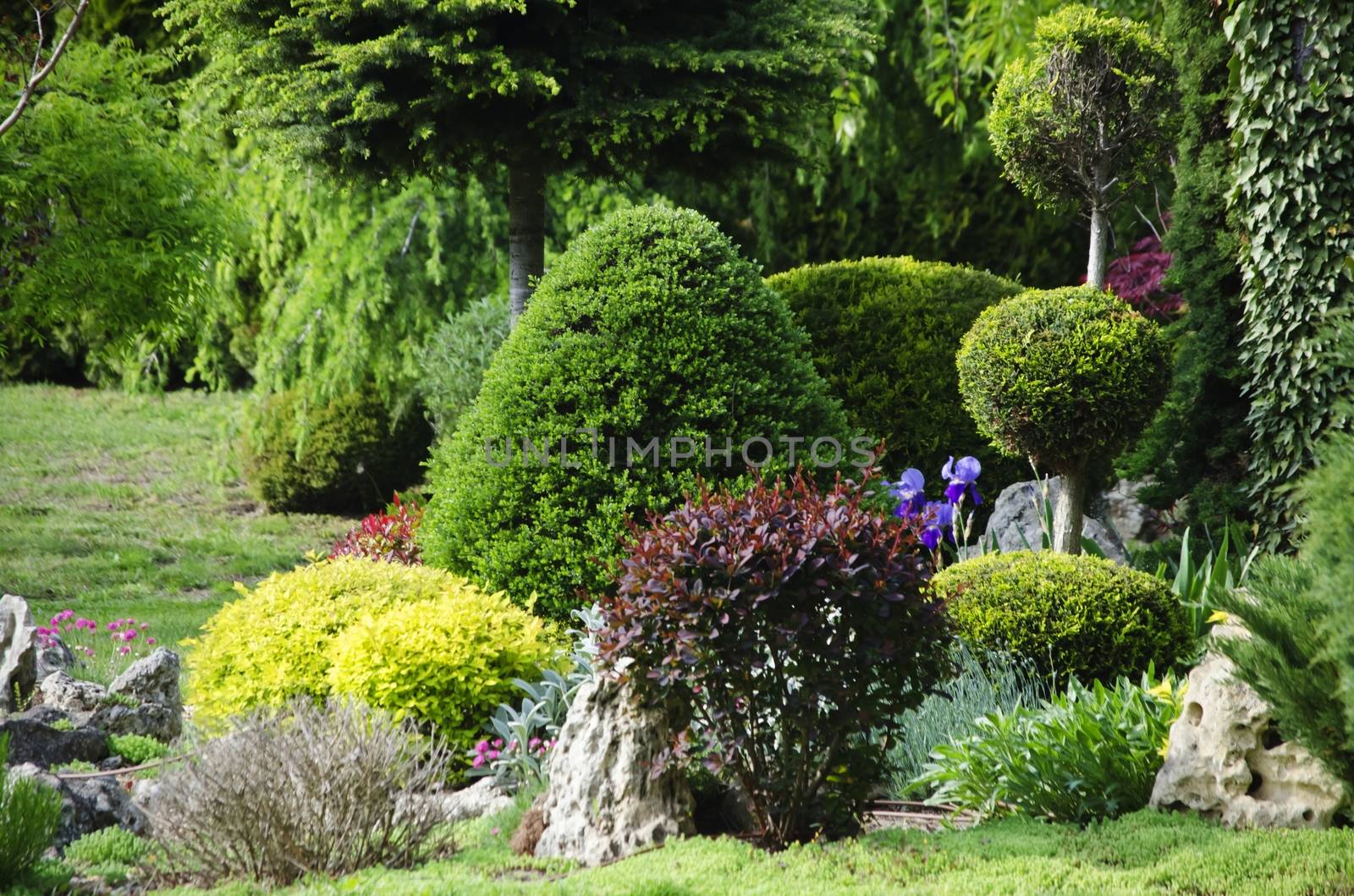 Photo of the Gardening and Landscaping With Decorative  Trees and Plants
