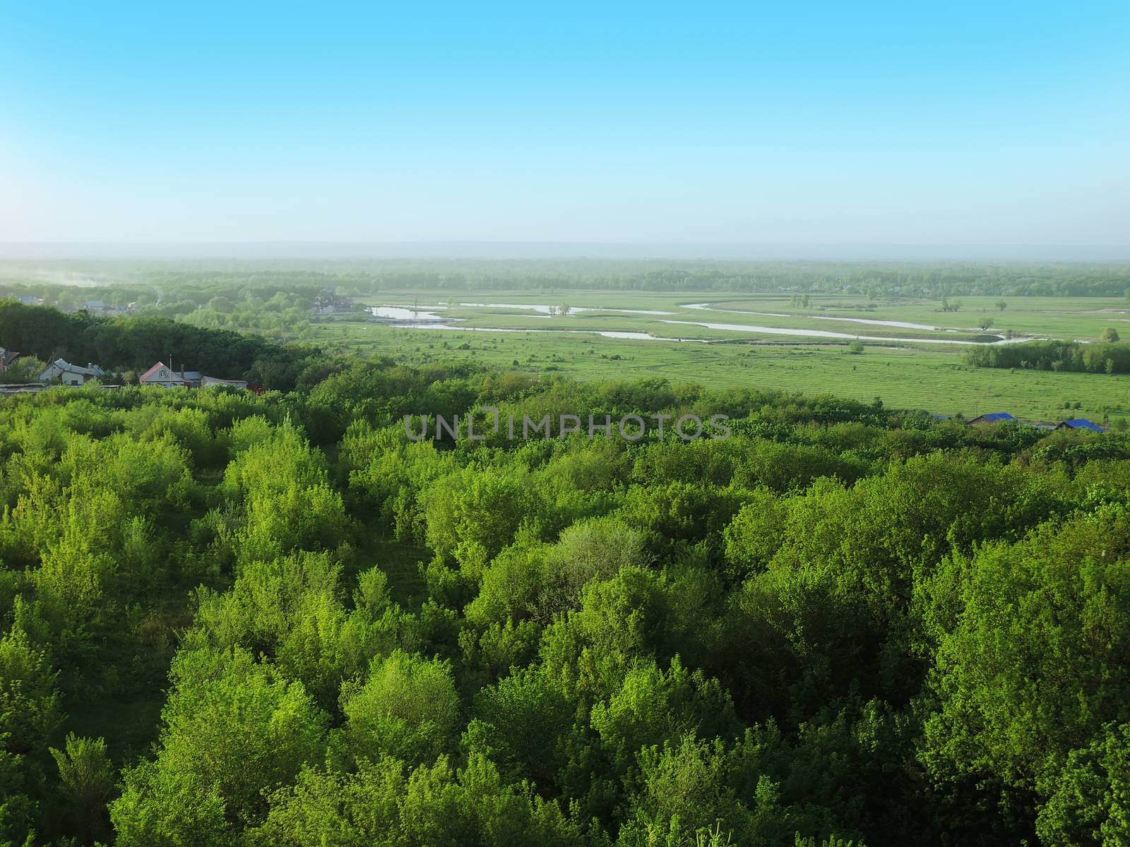 forest in summer and a meandering river on field