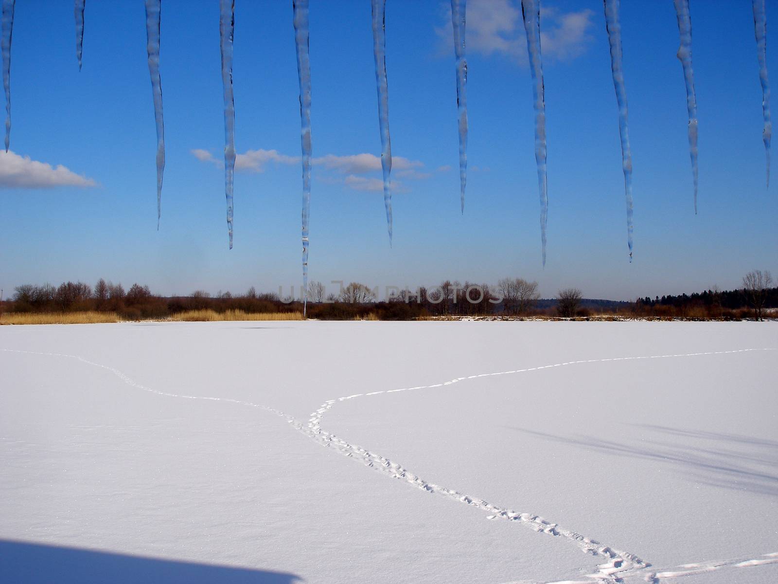 winter landscape with many snow and icicles