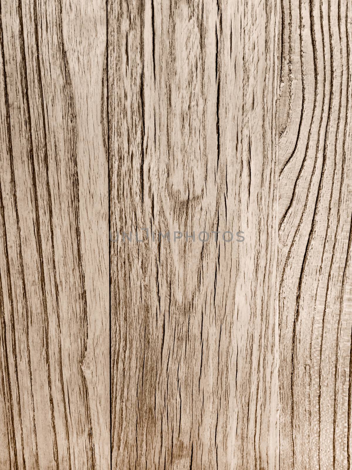 Old gray wood background. Abstract wooden texture.