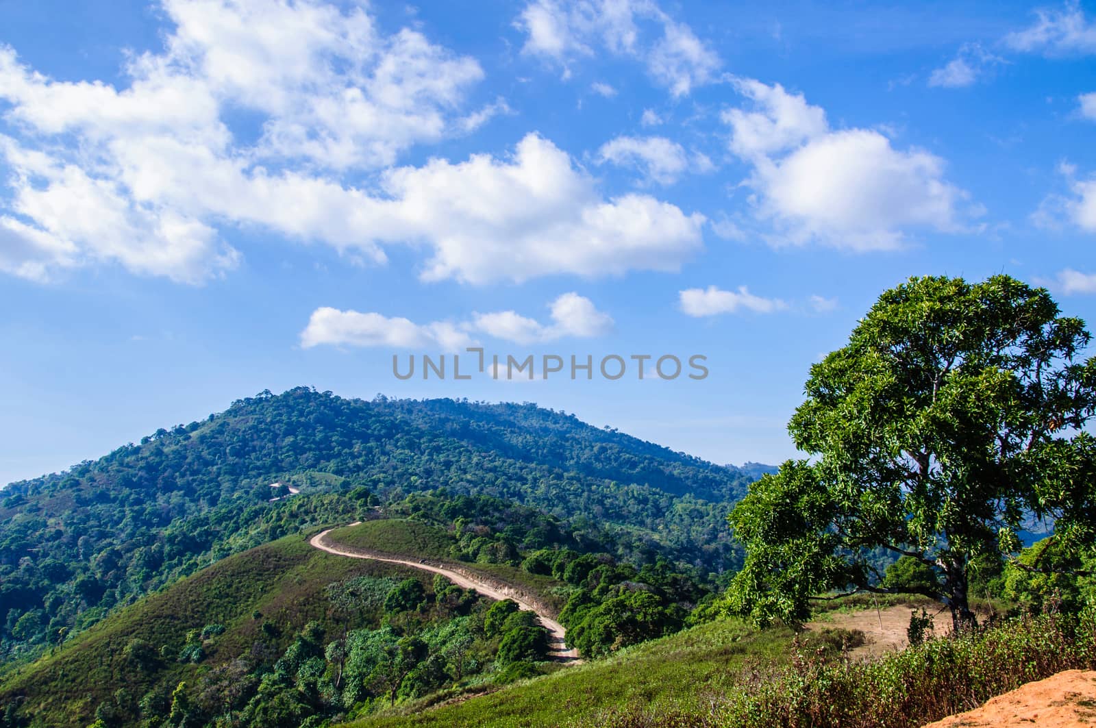 Country Road by NuwatPhoto