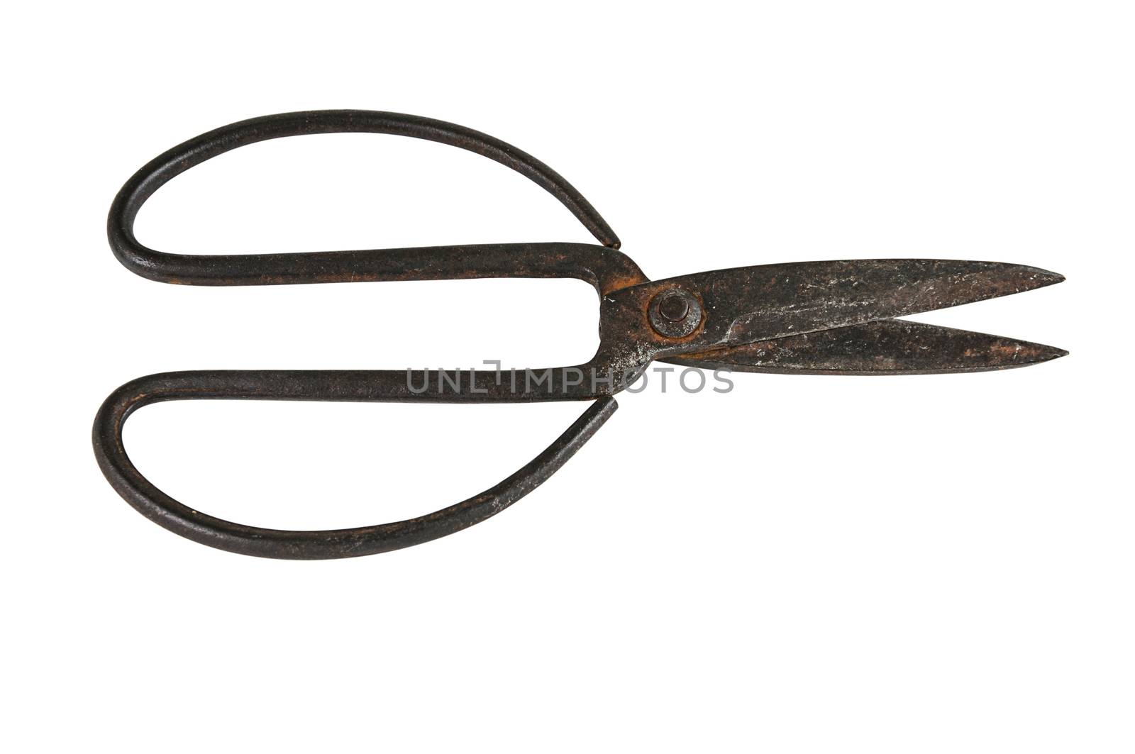 Old scissors isolated by NuwatPhoto