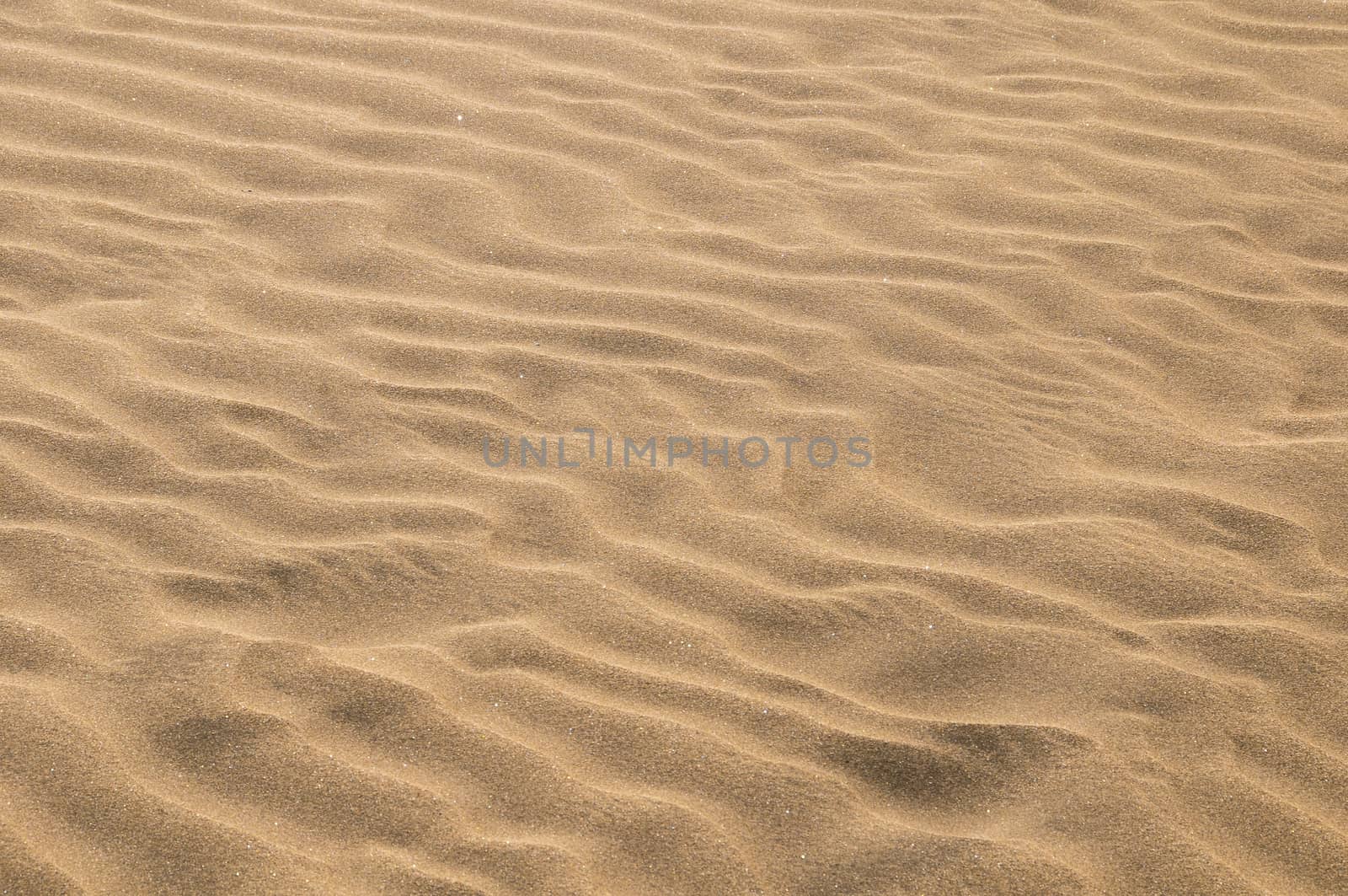 Sand Dune Desert Texture by underworld