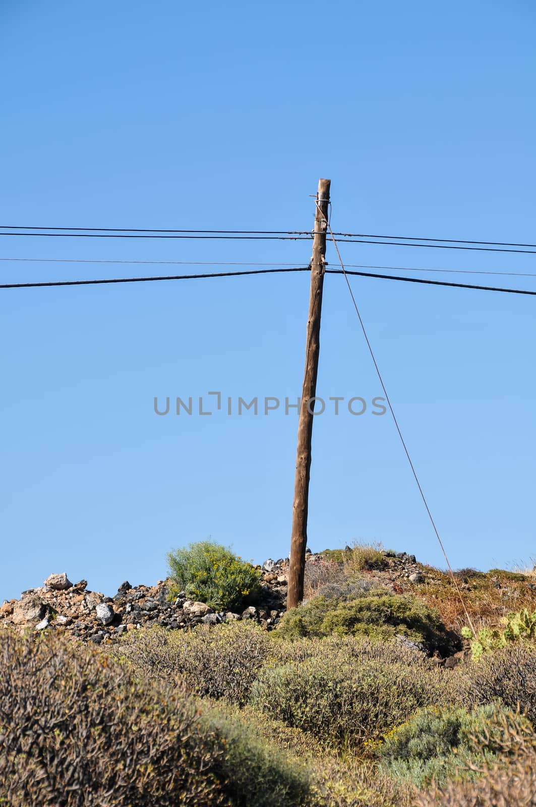 Old retro telephone poles in the field