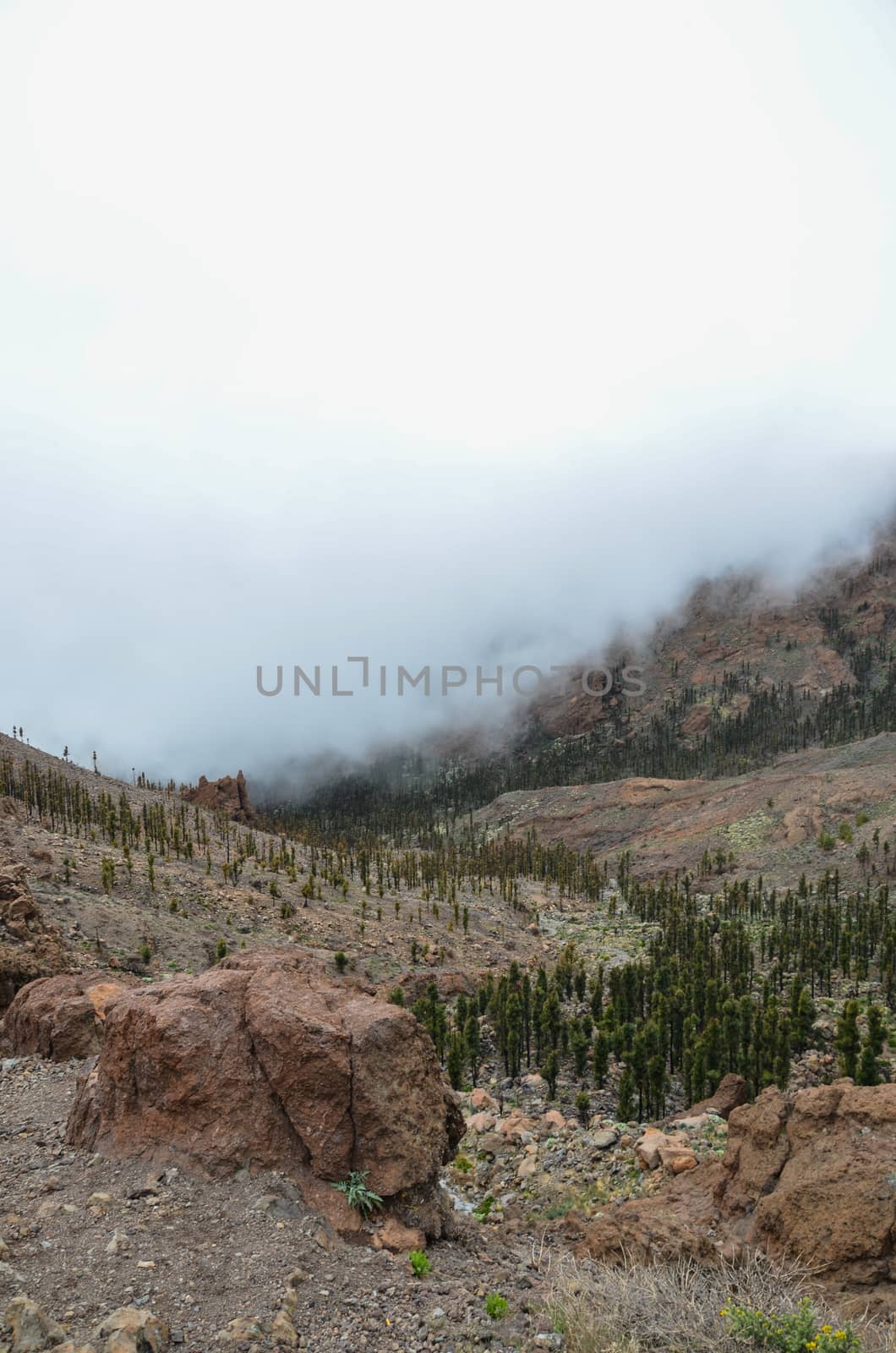 Cloudy Day in El Teide National Park by underworld