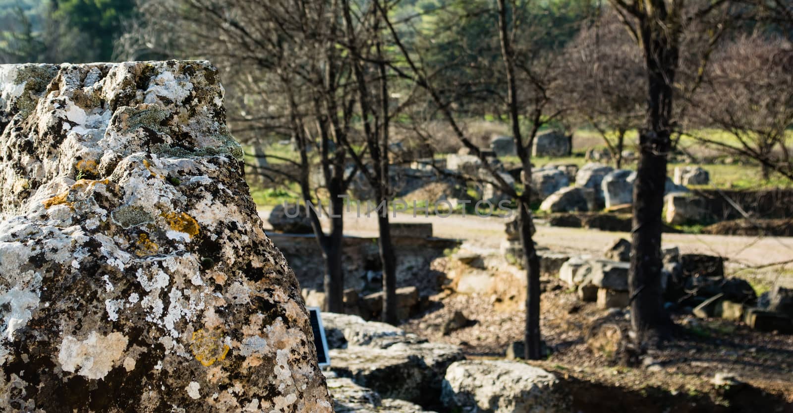 Ruins close-up at Nemea Archaeological Site, Greece by ankarb