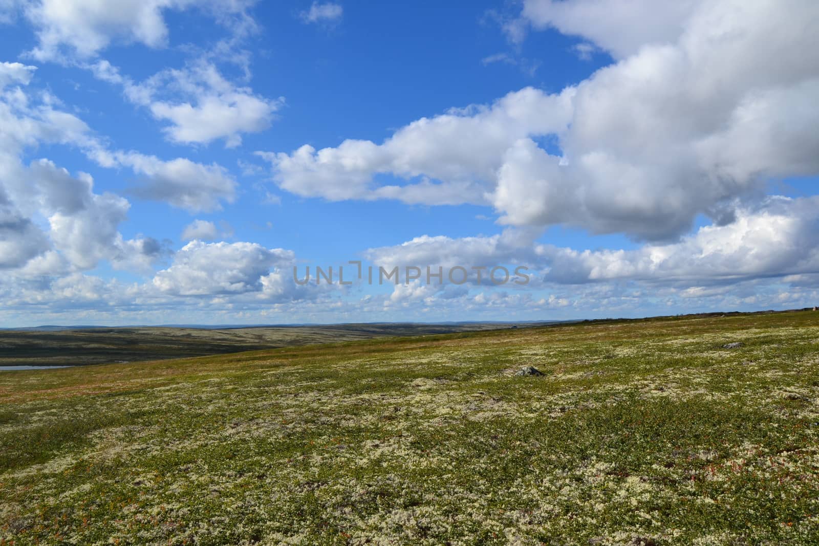 Tundra landscape by ruv86
