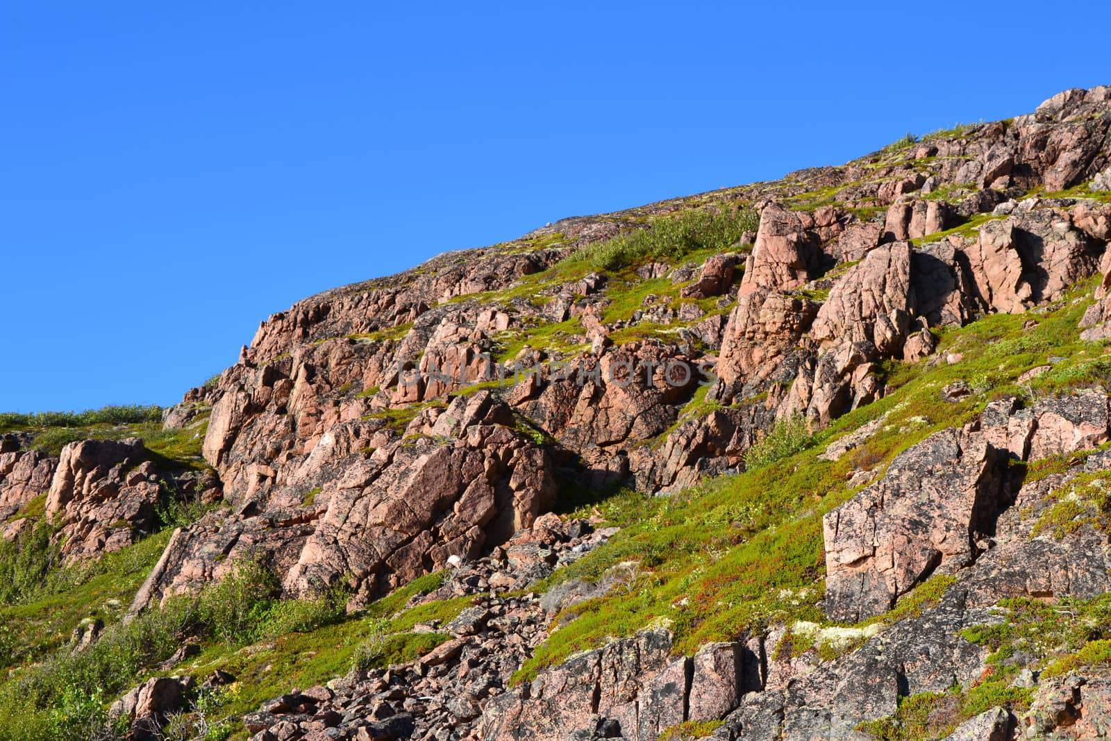 Tundra and hill