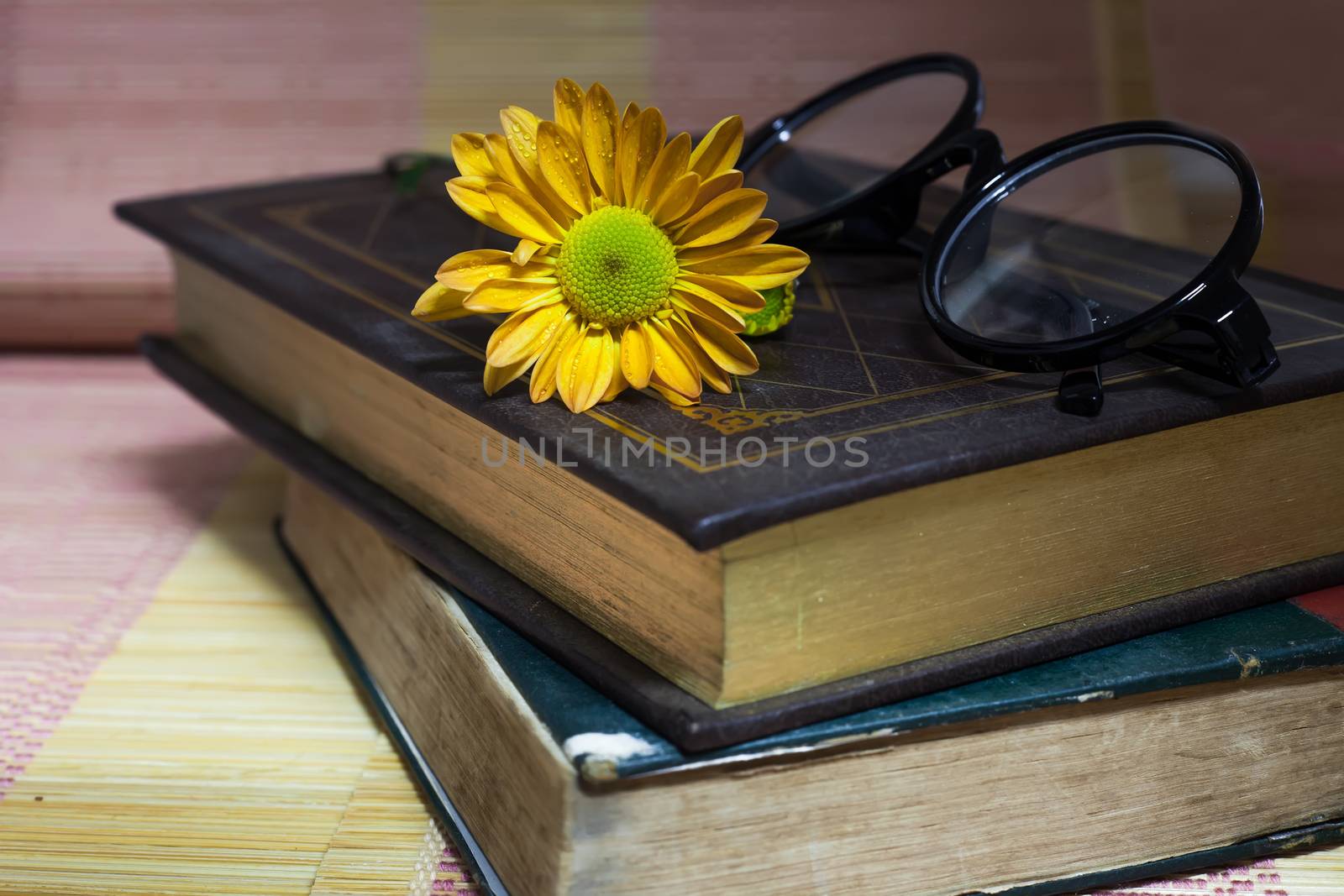 vintage book and flower by amnarj2006