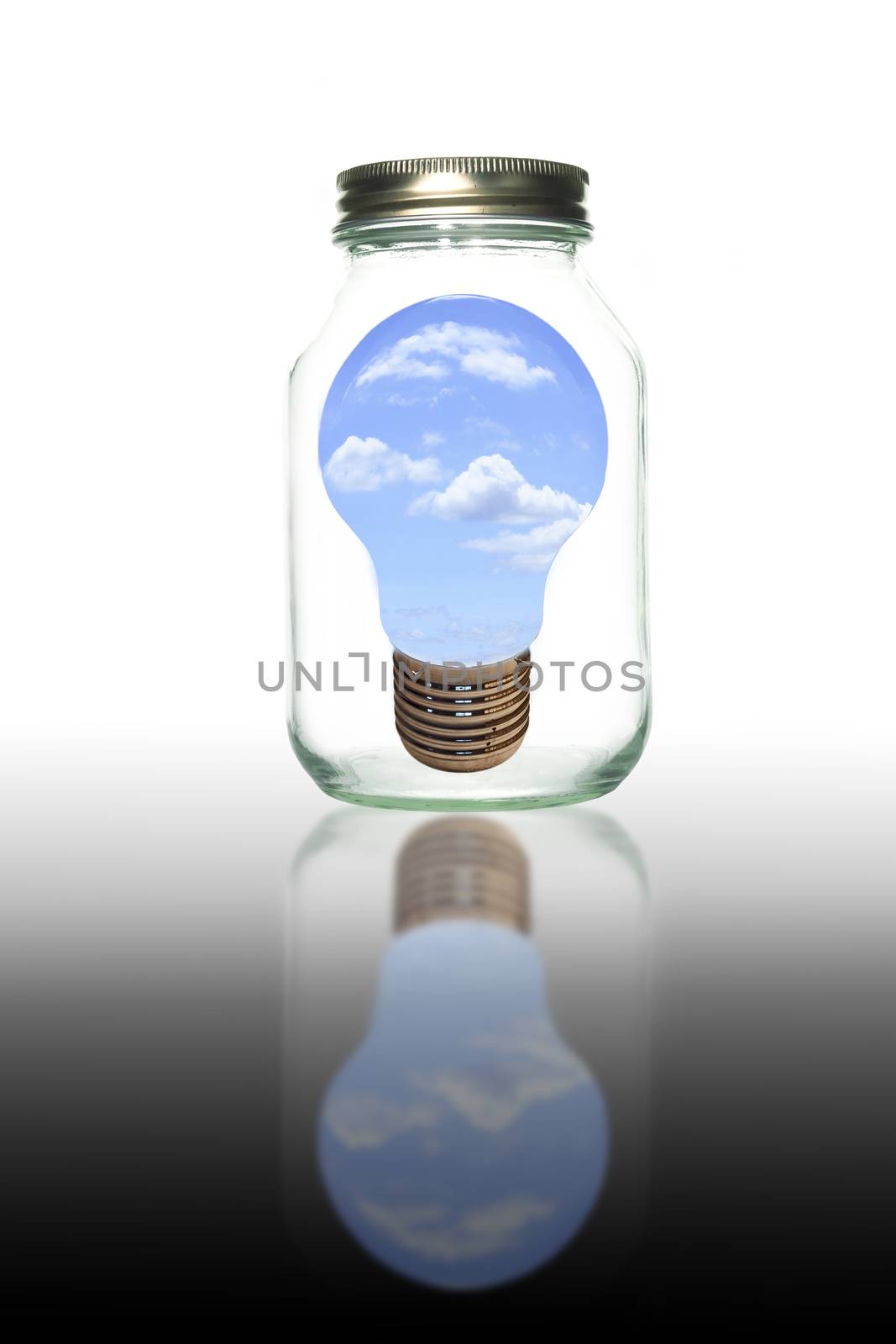 Blub light in bottle isolate