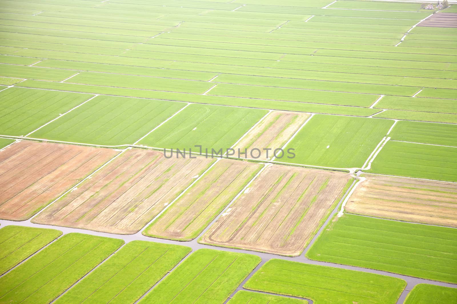 Dutch farm landscape from above, The Netherlands