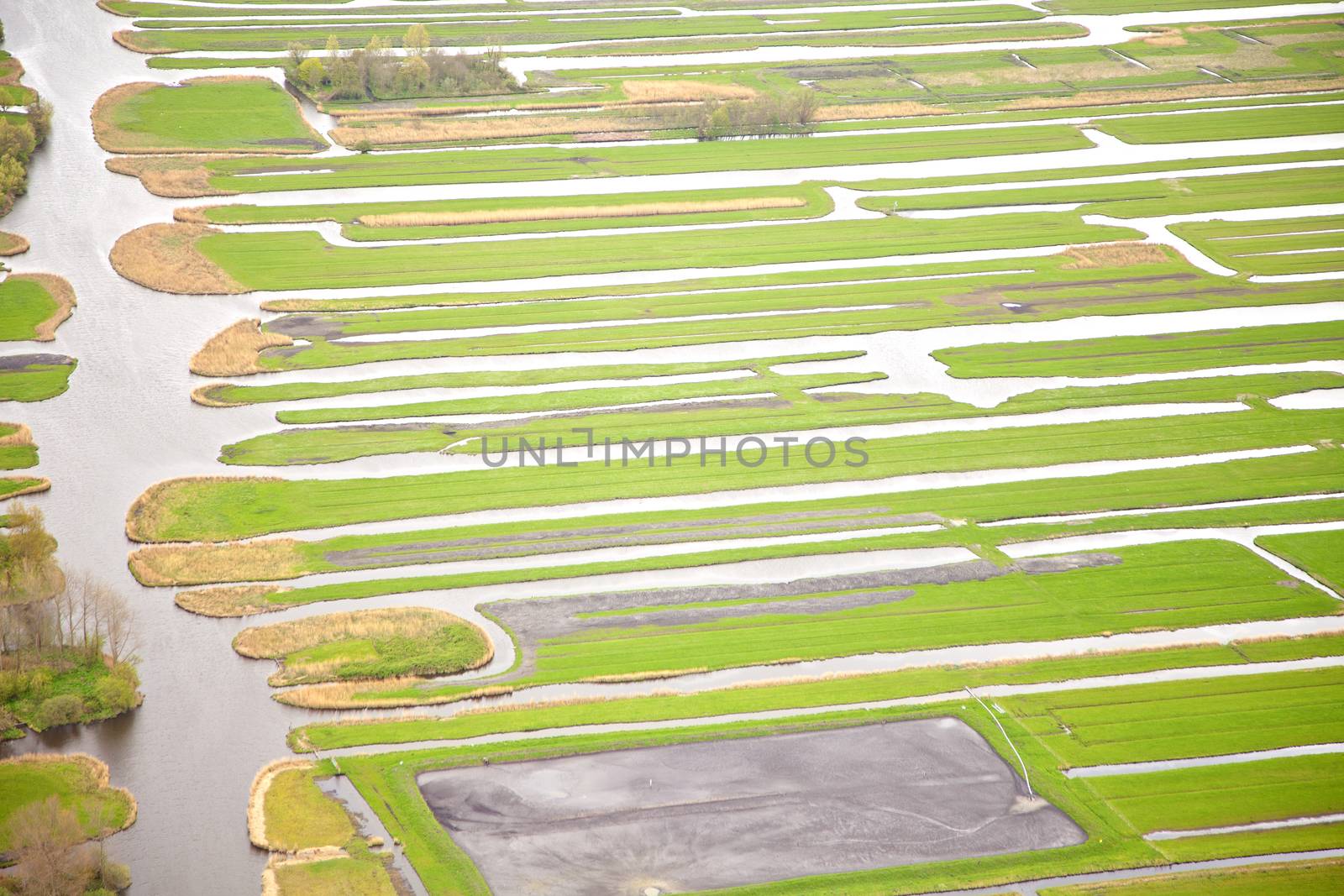 Green landscape with water, Twiske The Netherlands