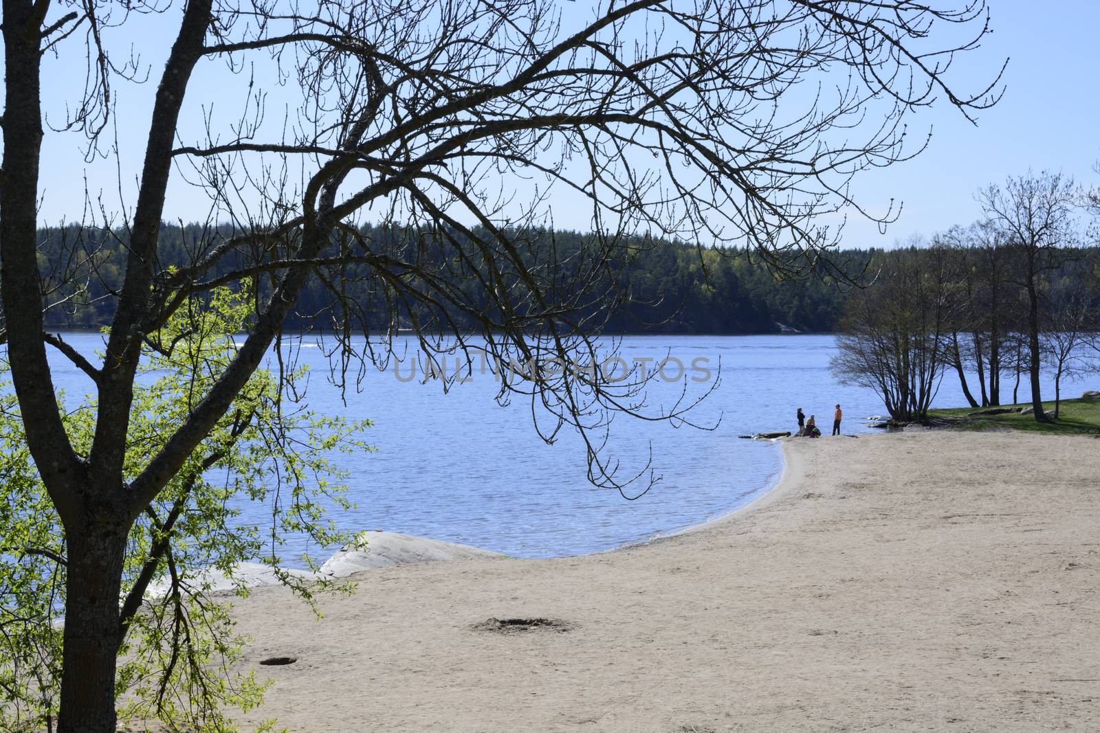 Sandy beach Kanaan, Lake Malaren, west of Stockholm, Sweden, in April