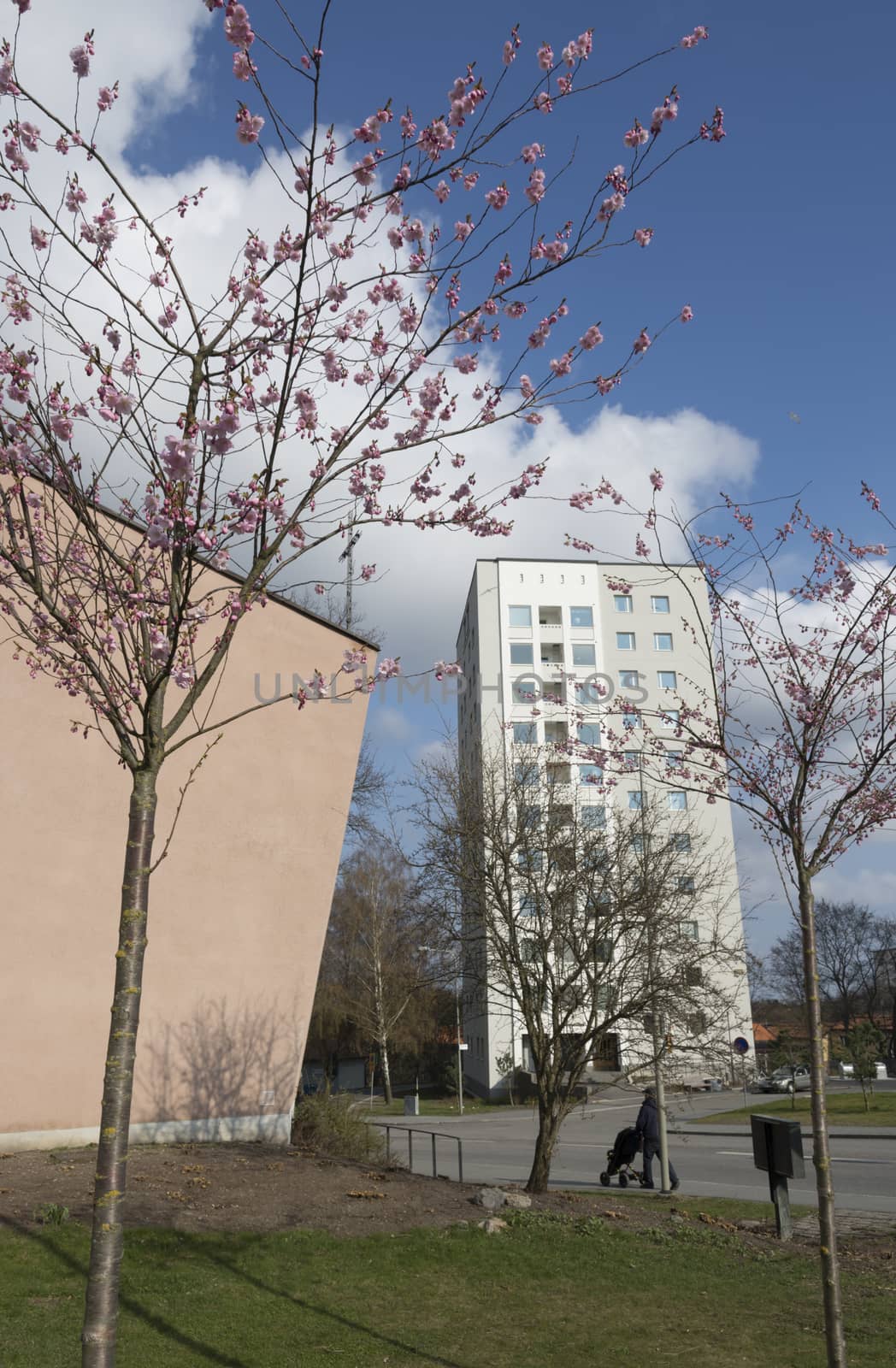 VÄLLINGBY, STOCKHOLM, SWEDEN ON APRIL 20, 2014: High rise residential architecture, fifties church building and cherry blossom on April 20, 2014 in Vallingby, Stockholm, Sweden.