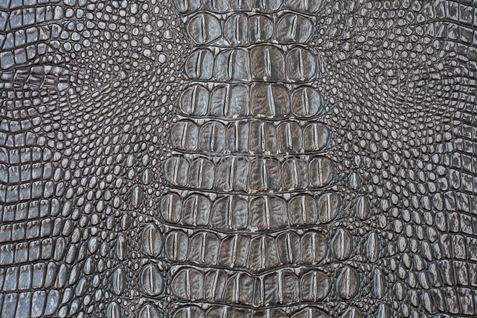 Crocodile skin texture
