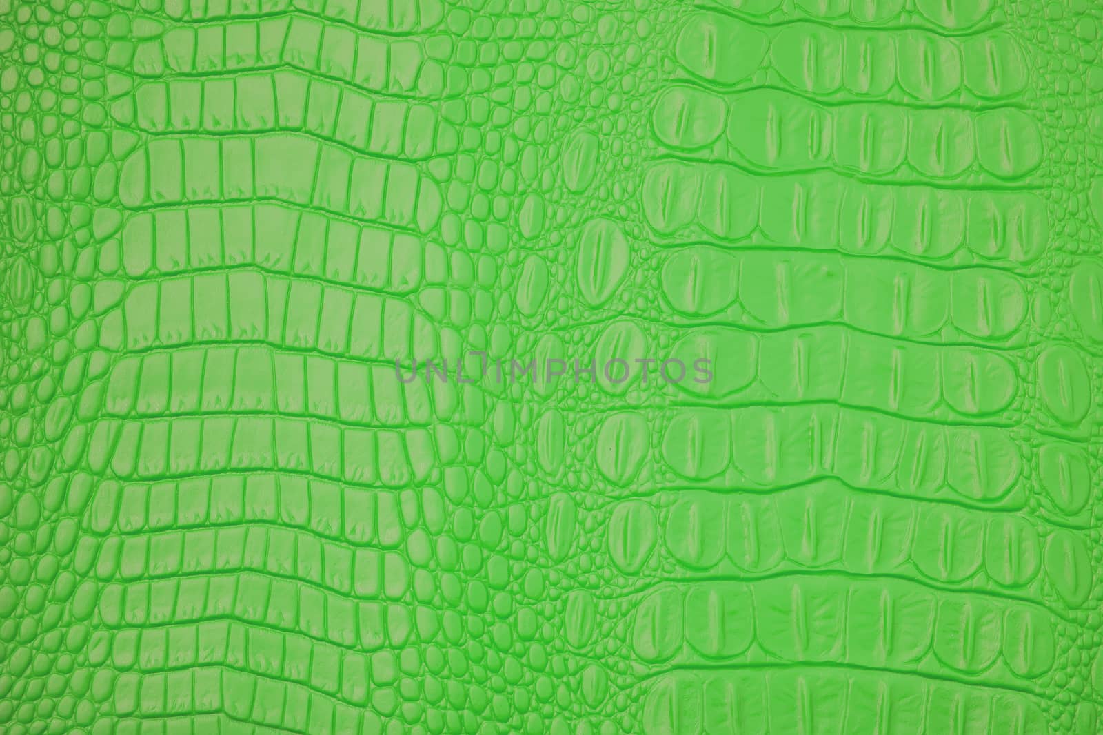 Green Leather texture