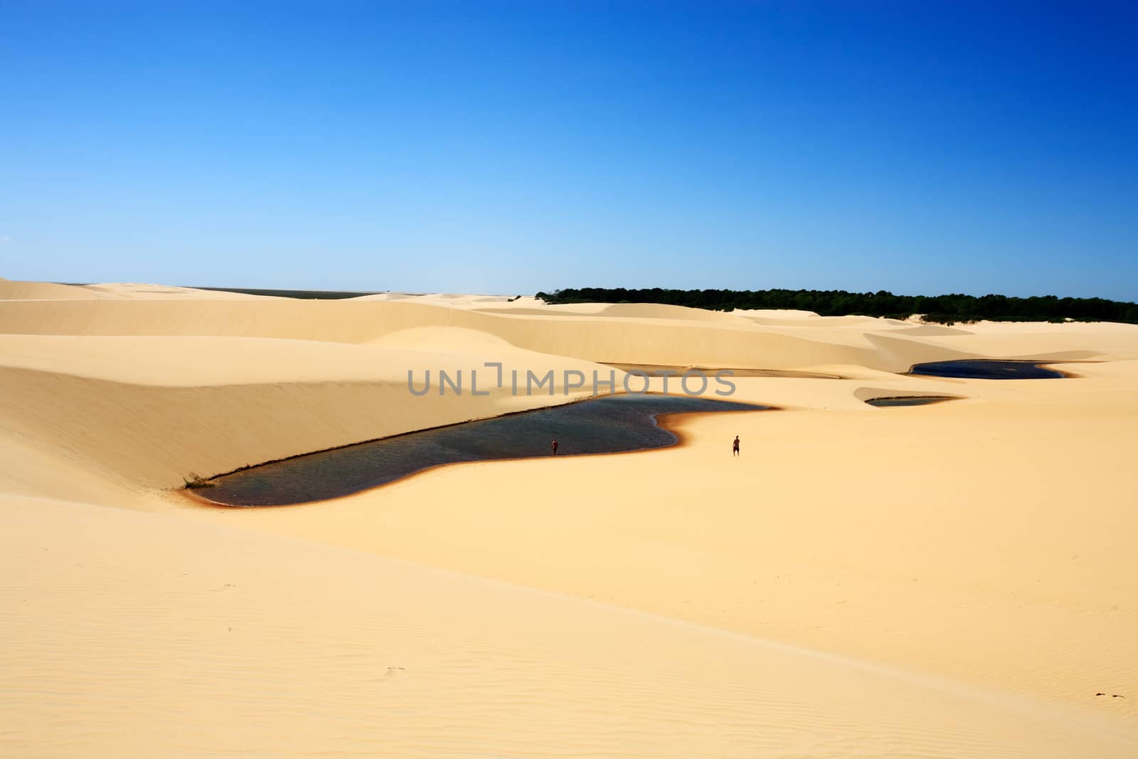 desert sand dunes of the Lencois Maranheses National Park