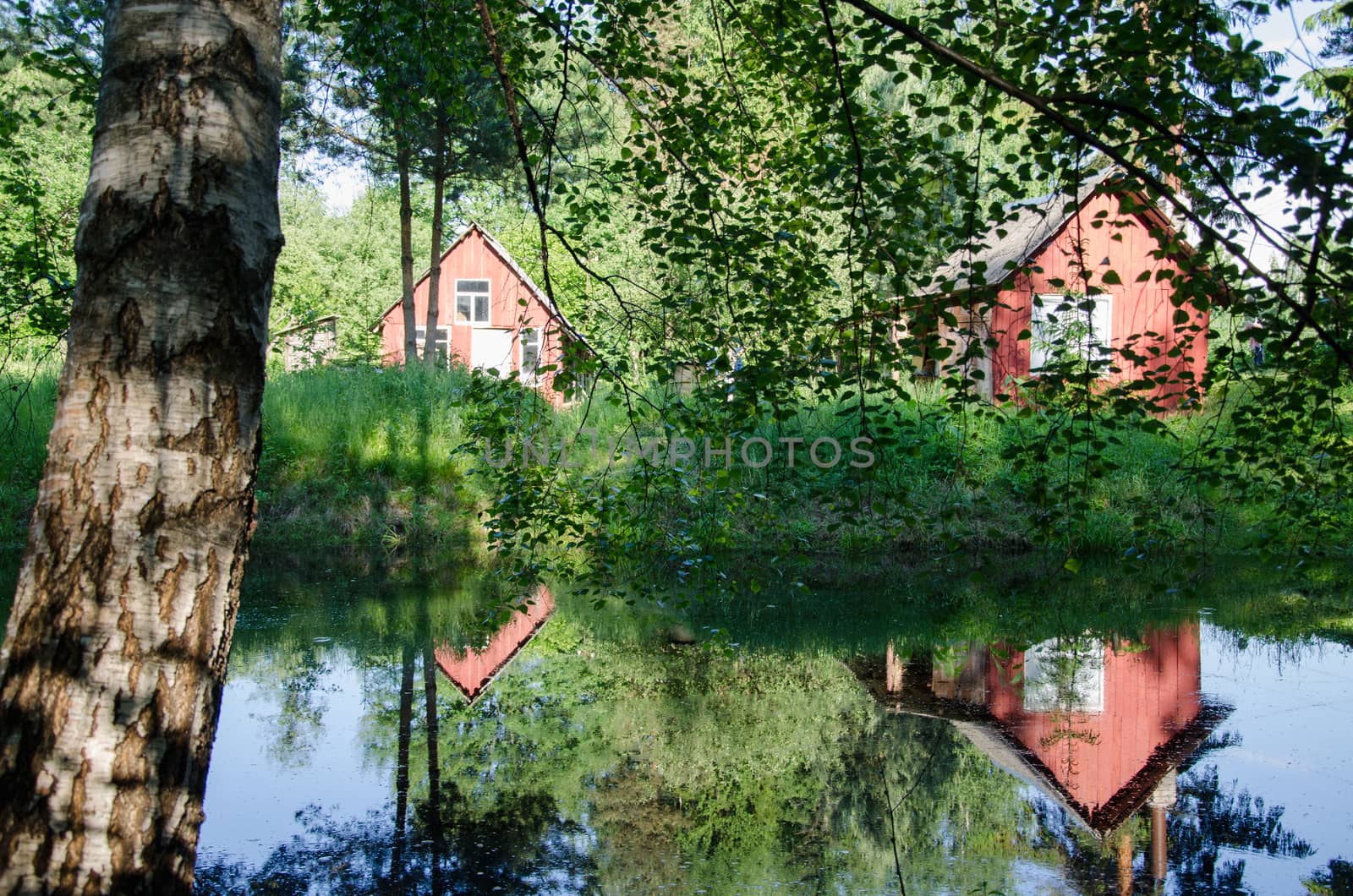 idyllic rural image of small village home reflection on pond and green birch