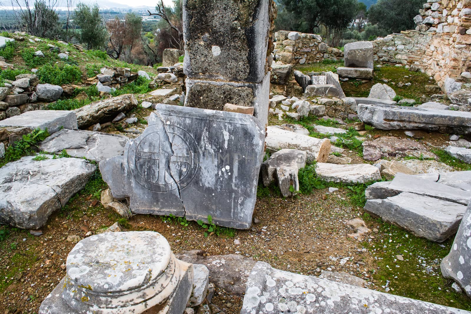 Pillar ruins at Ancient Troizina , Peloponnese, Greece