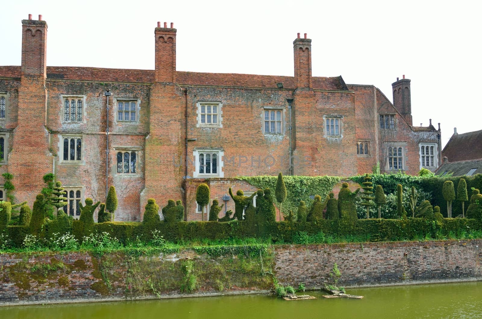 english house and hedge by pauws99