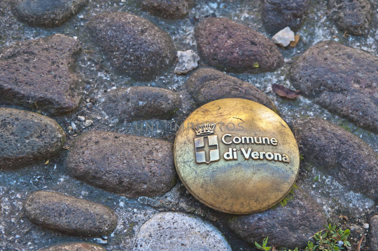 The pavement of Verona