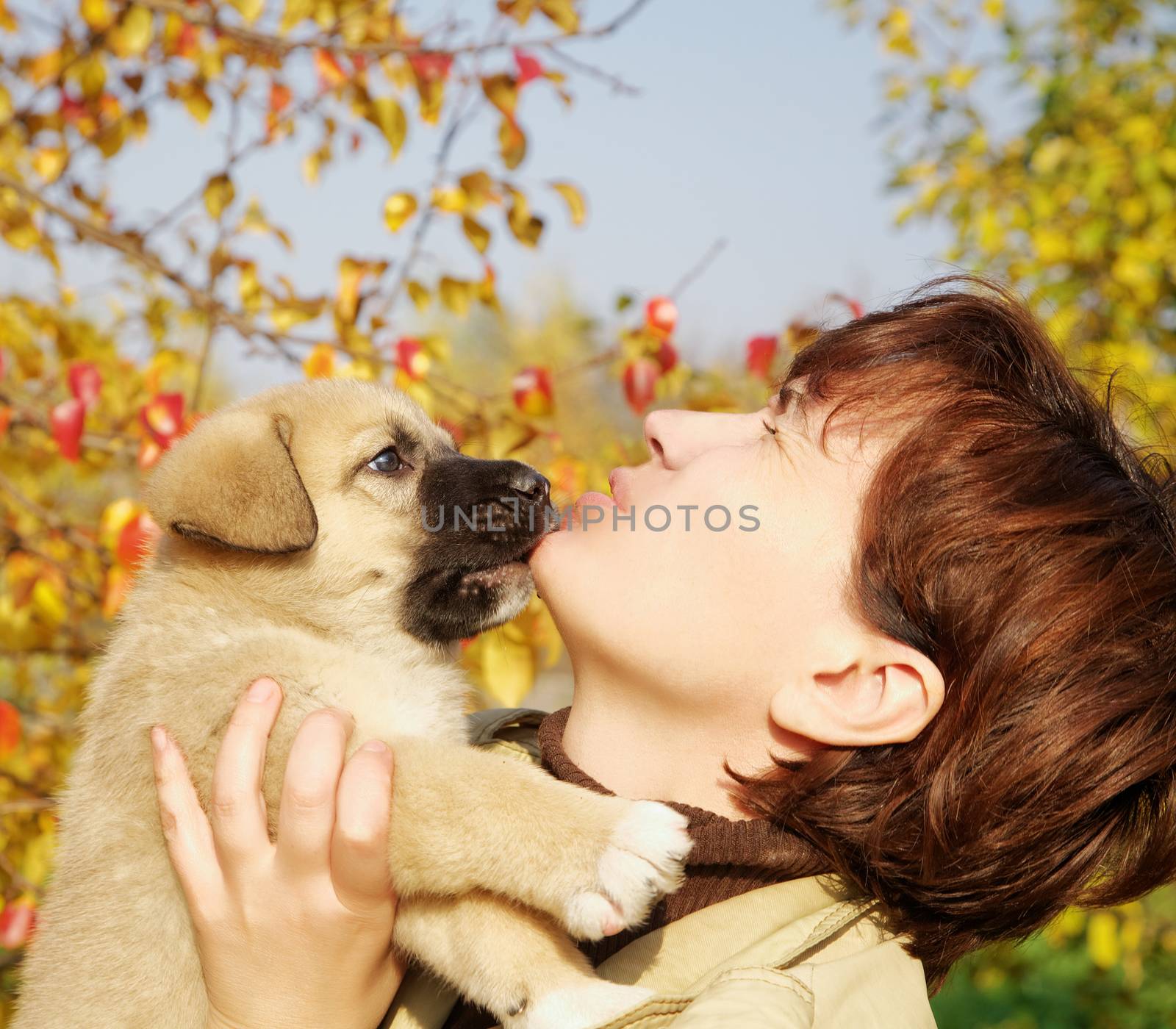 The puppy of the Spanish mastiff licks a woman's face by alarich