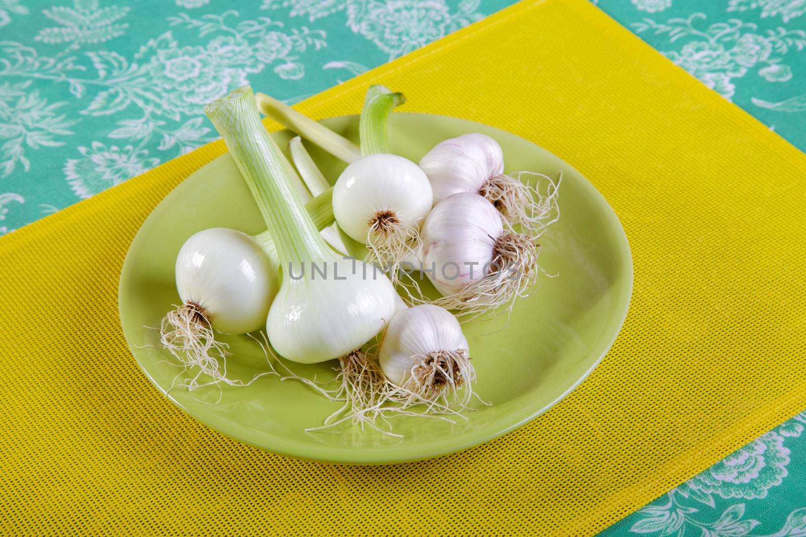 Onion and garlic on a plate by alarich