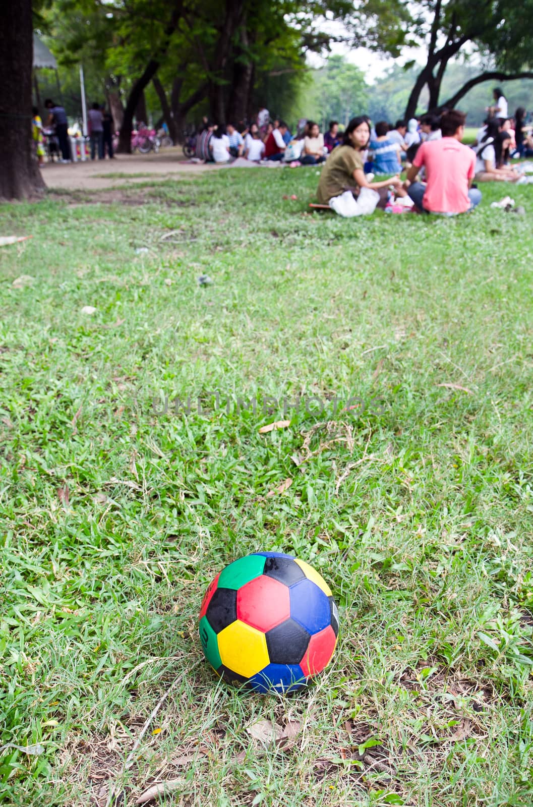 colorful football on green field by tisskananat