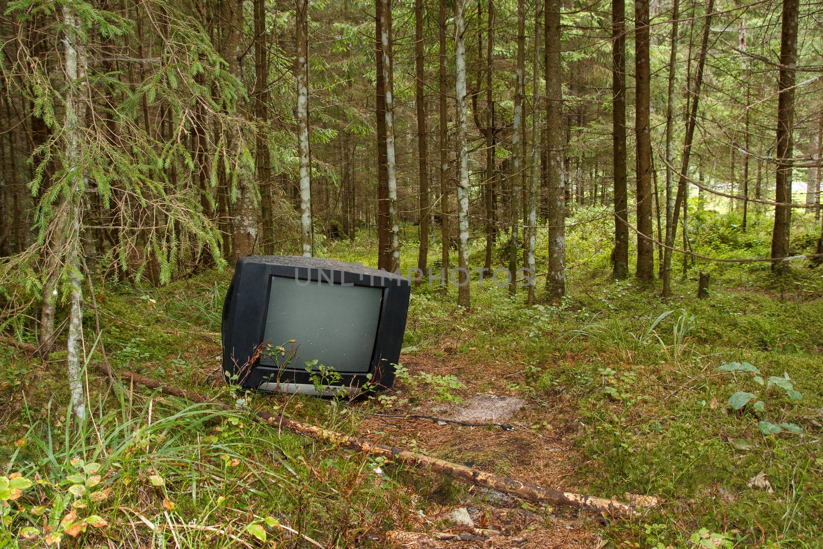 a black TV left in the forest