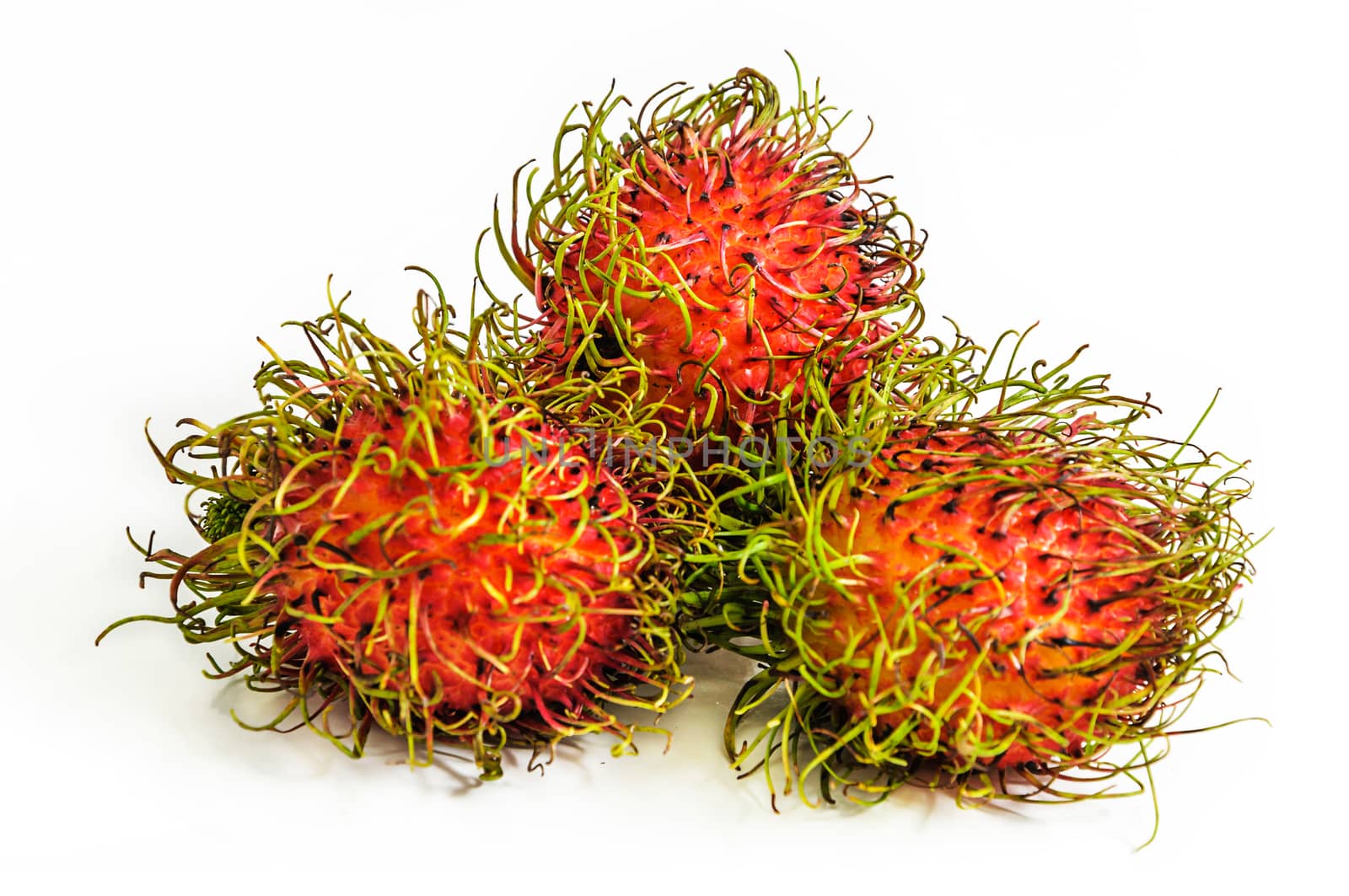 Rambutan is a fruit with sweet isolated on white background