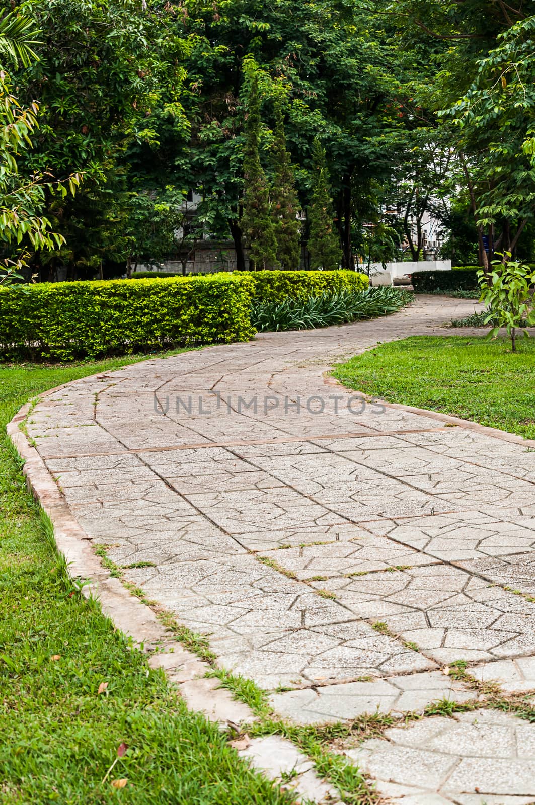 Concrete walkway in the park on green grass