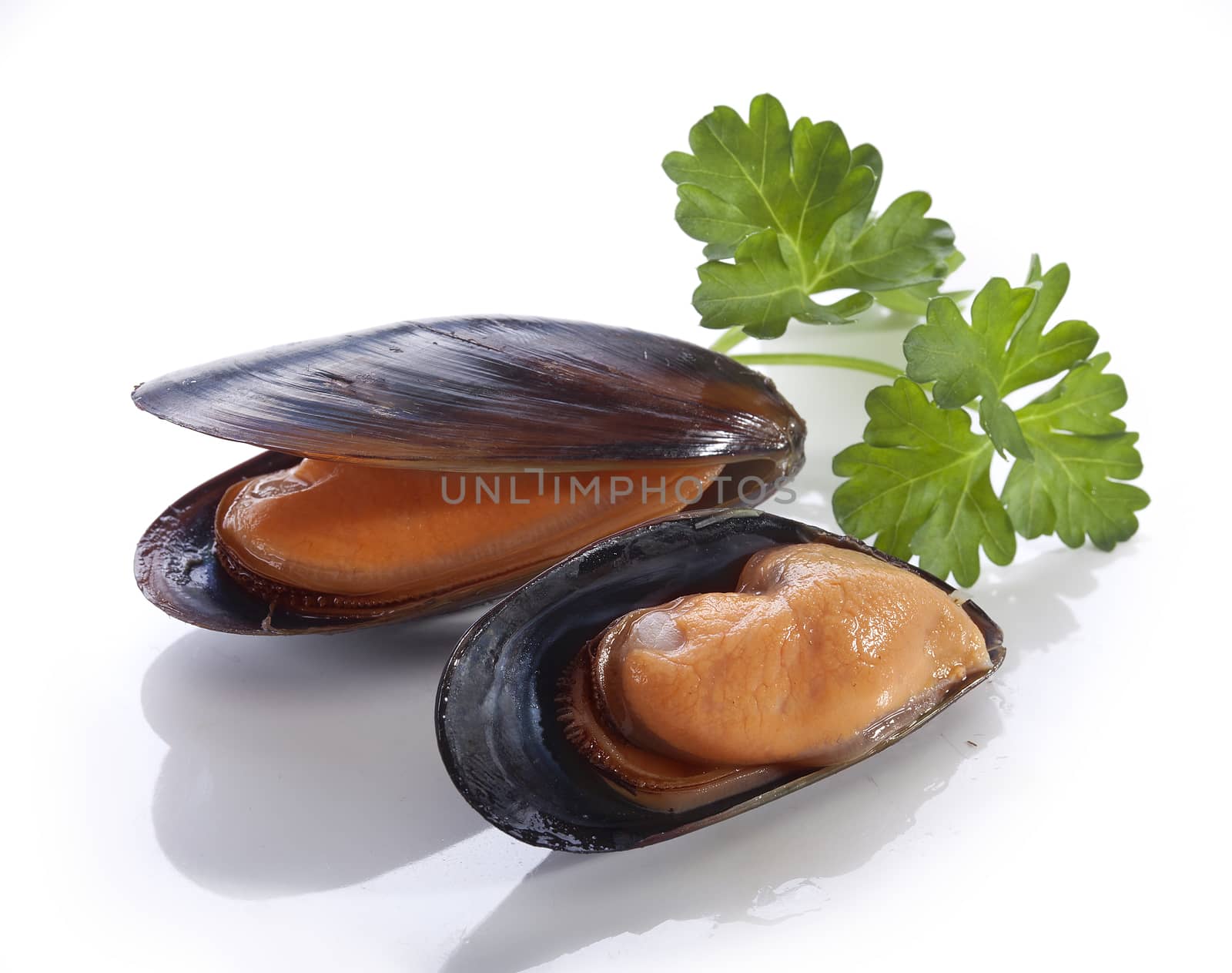 Two mussles in the shell with fresh green parsley