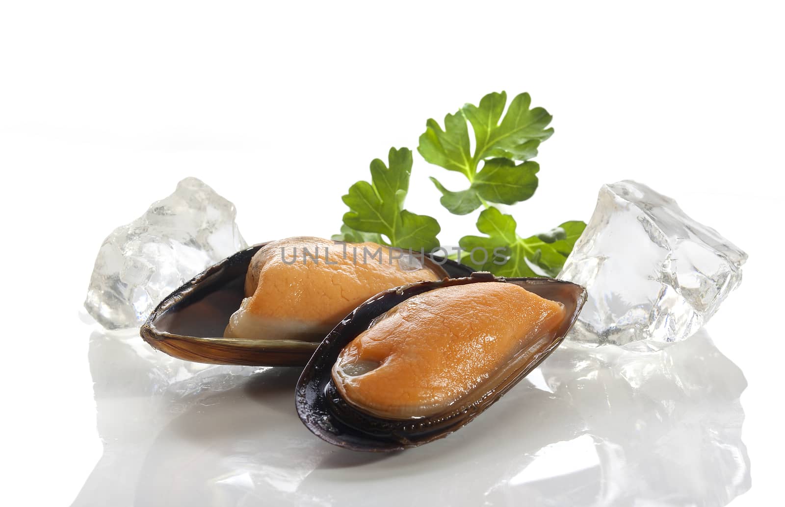 Mussel on the shell by Angorius