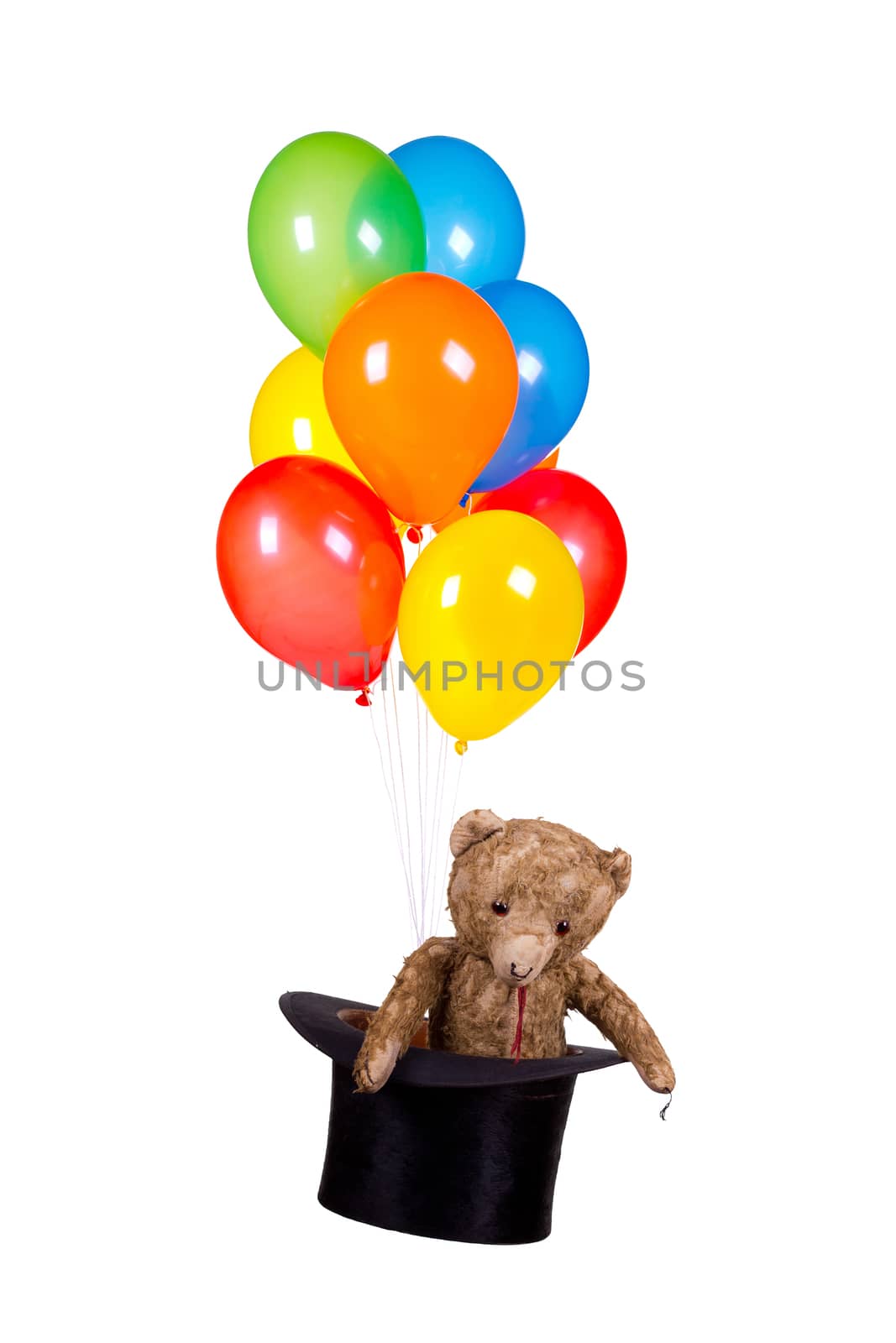 teddy bear in old hat with balloons