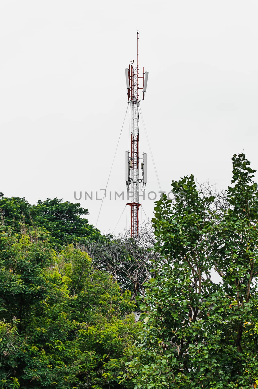 communications tower on the building with green trees