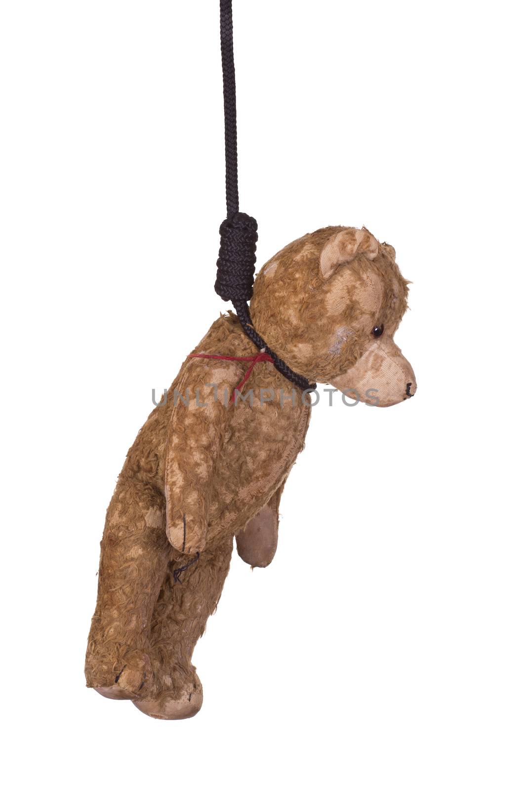 old teddy bear hanging on gibbet by pterwort