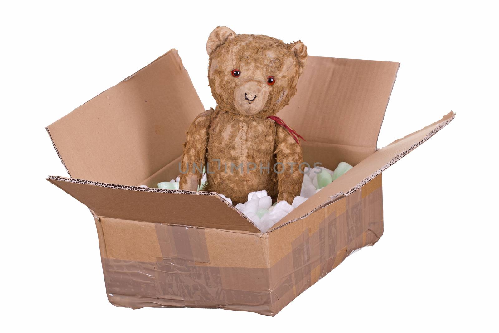 teddy bear in cardboard box