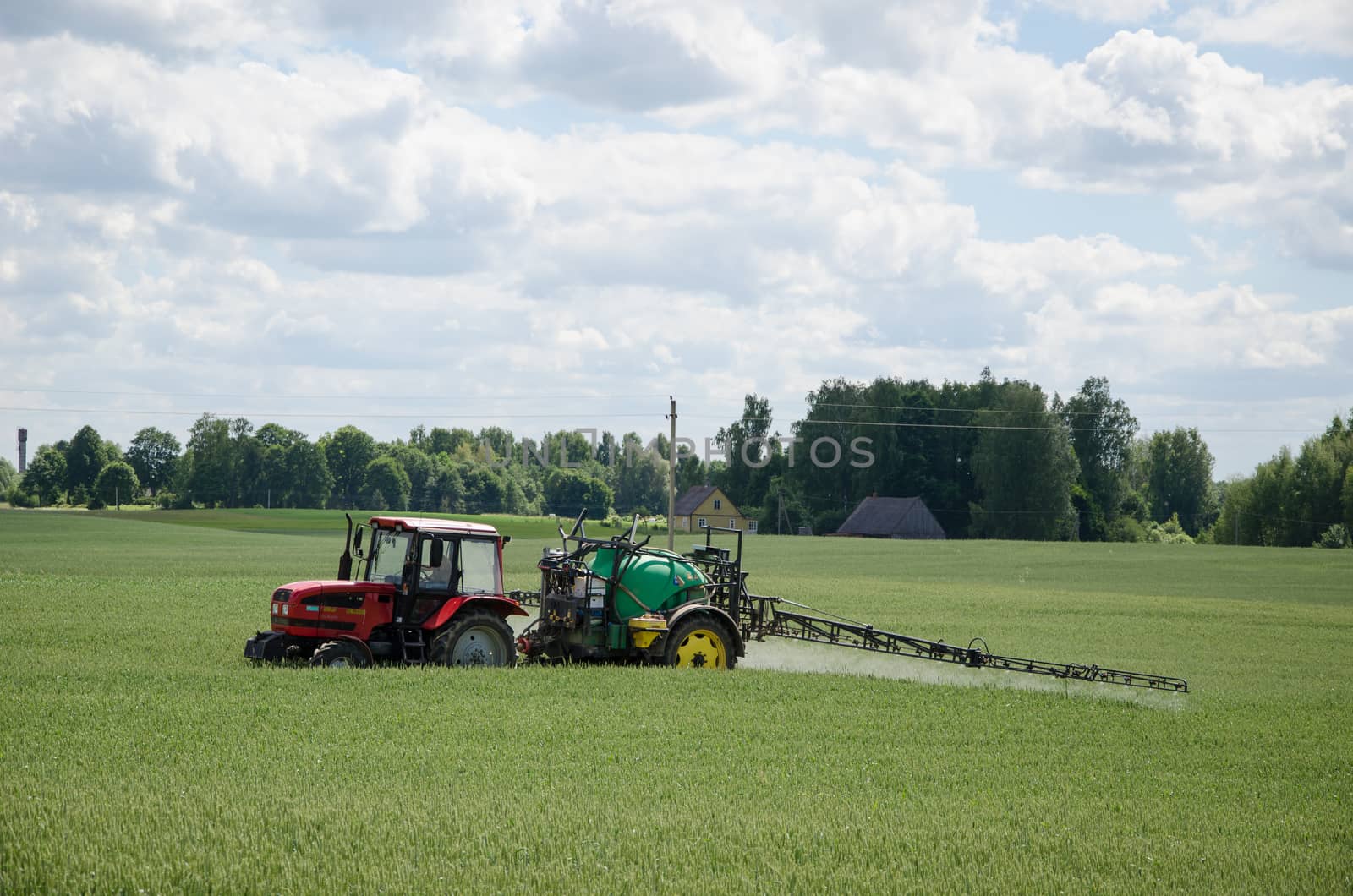 tractor spray green crop field in summer by sauletas