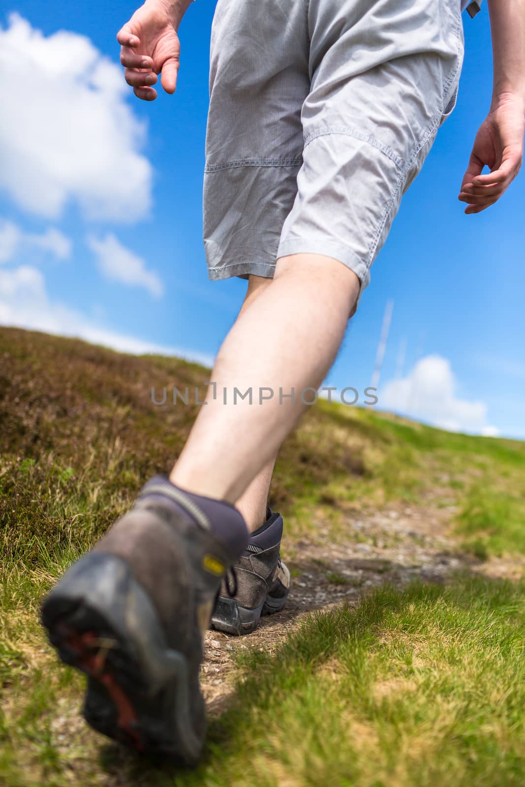 Young man hiking on a lovely sunny day, going uphill