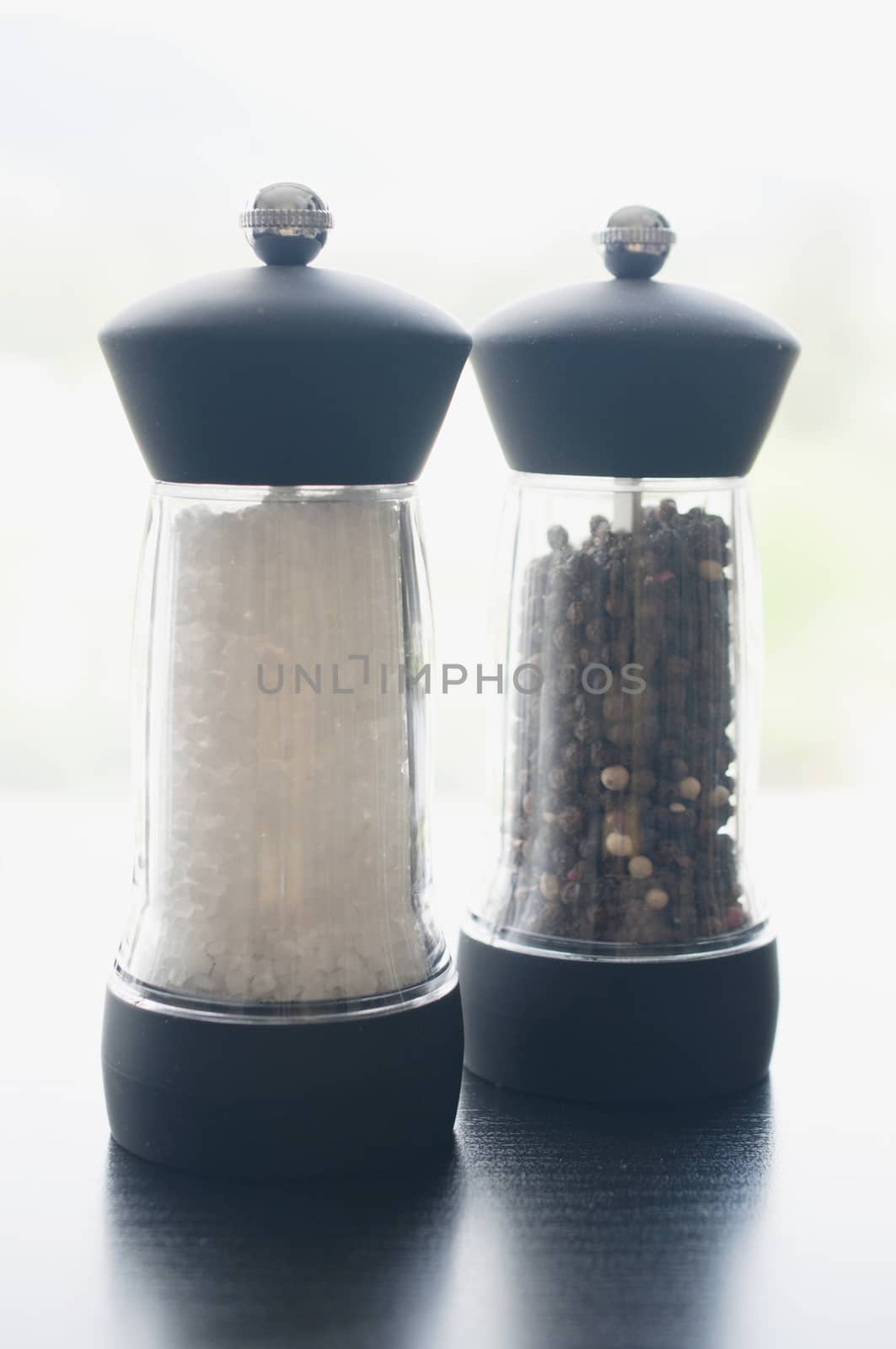 Stylish salt and pepper condiments dispenser