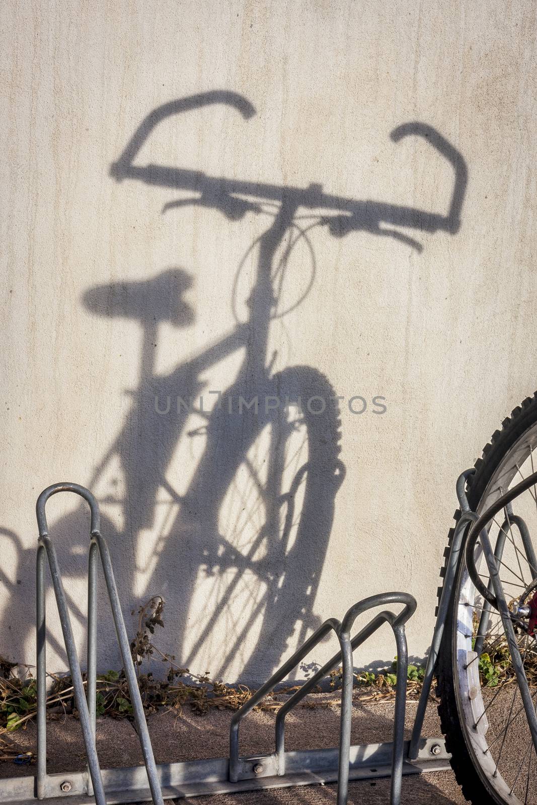 mountain bike shadow by PixelsAway
