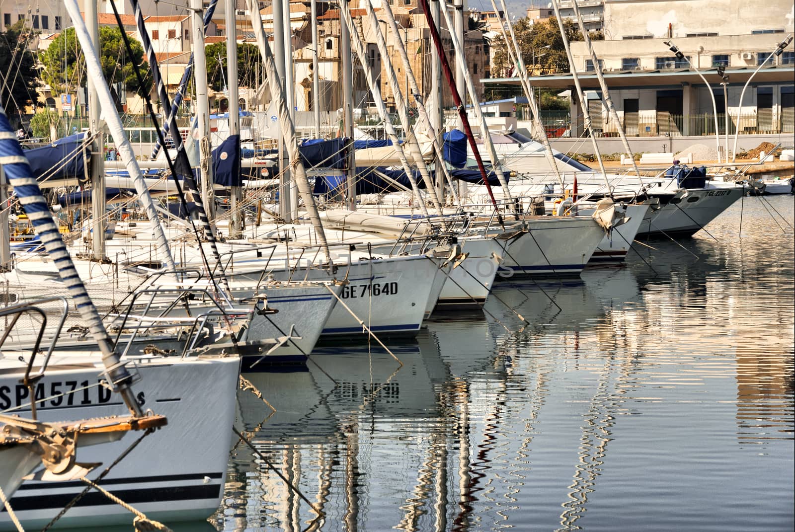 Sailboats in a marina of the Mediterranean.