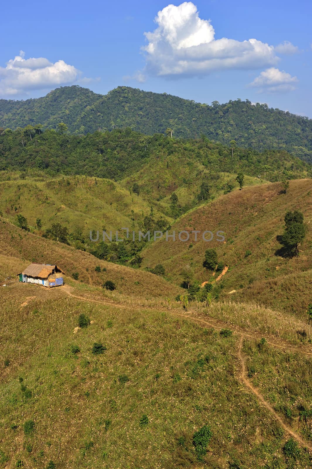 tradition hut on the mountain in Nan province, North of Thailand