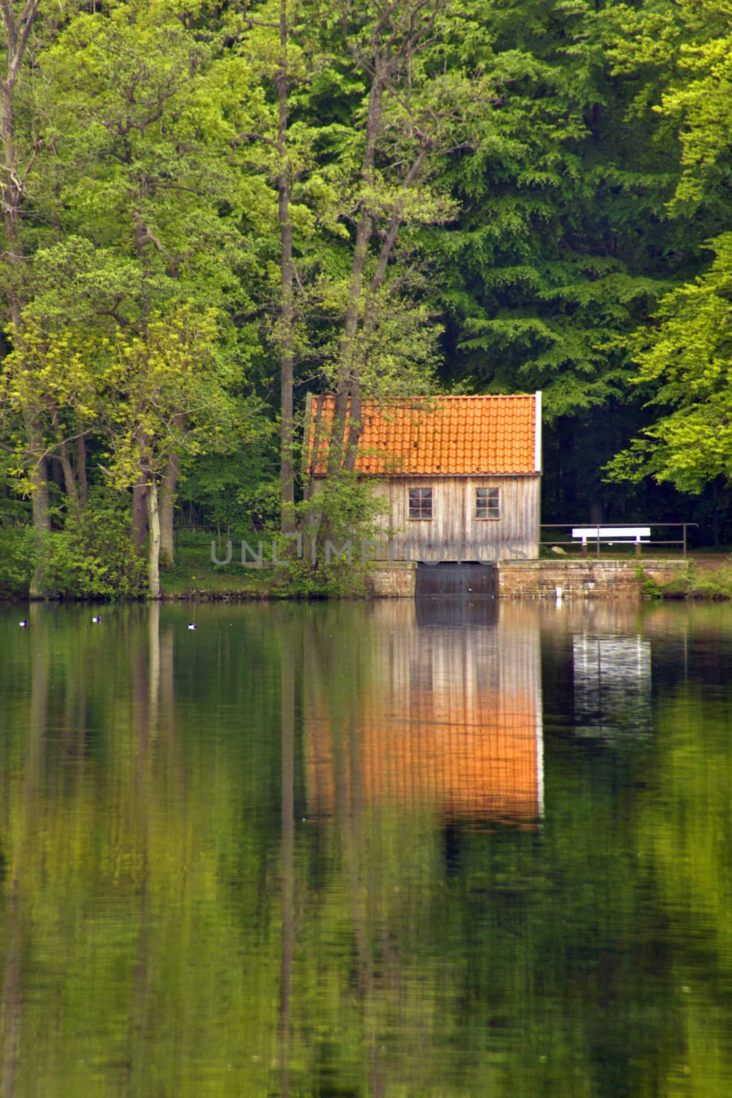 A small cottage at a lake in a forest in North Germany.