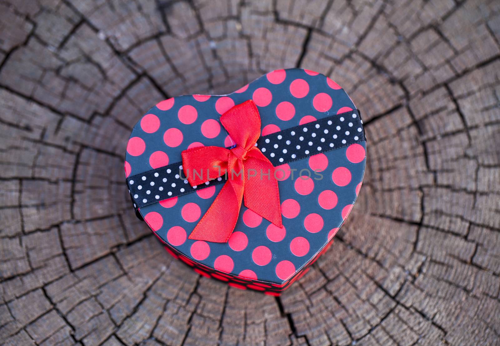 Heart Shape Gift Box in Nature