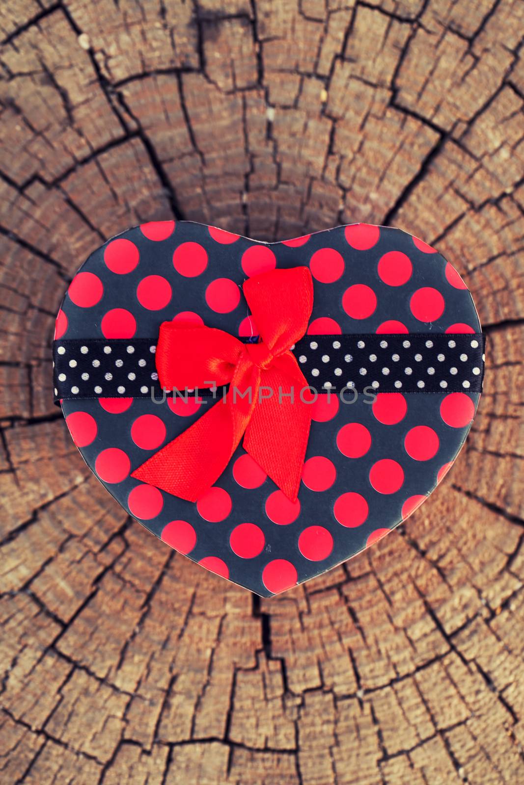 Heart Shape Gift Box in Nature