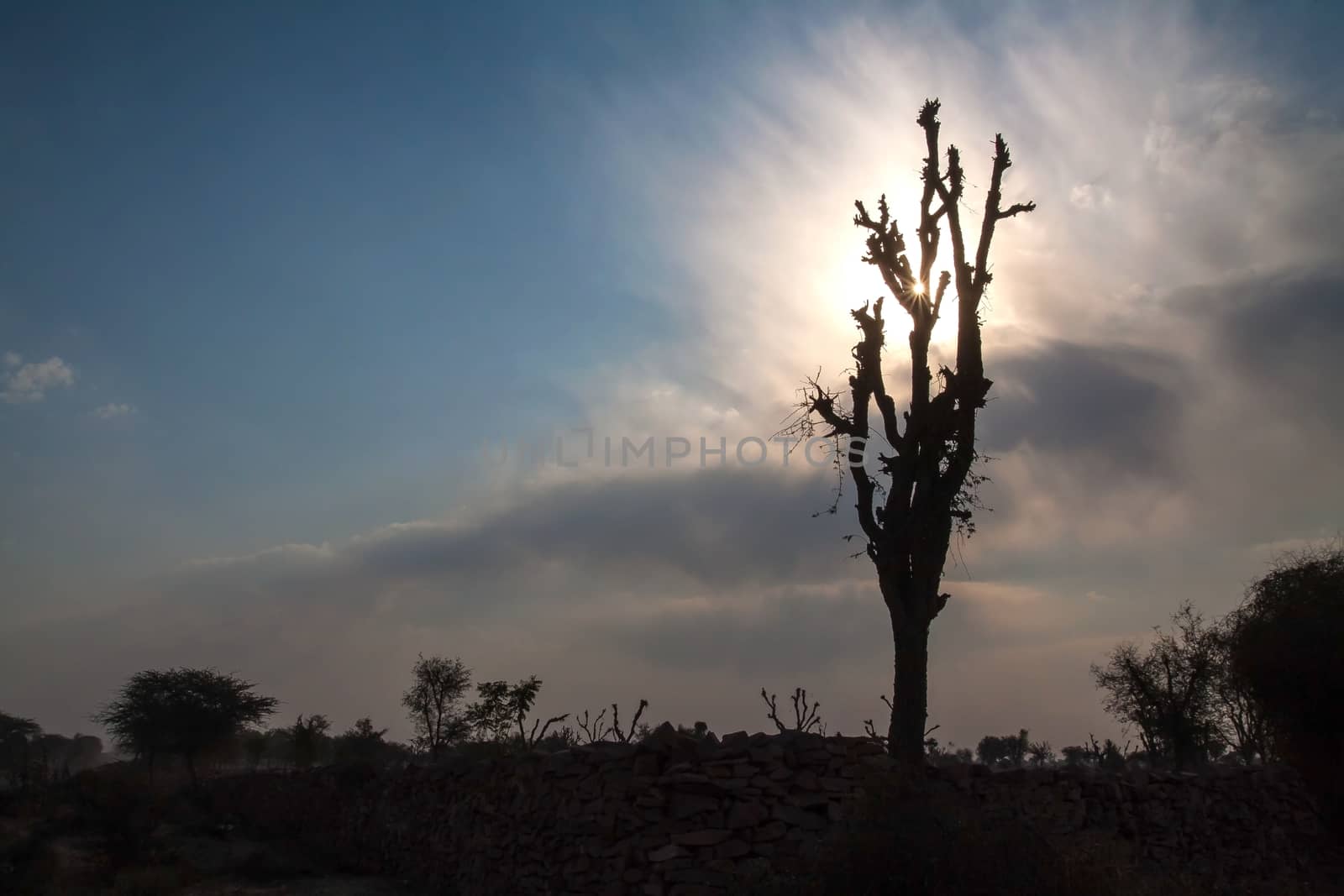 Starburst sunrays Barren Tree Silhouette Stone Hedge clouds Blue Sky by giddavr