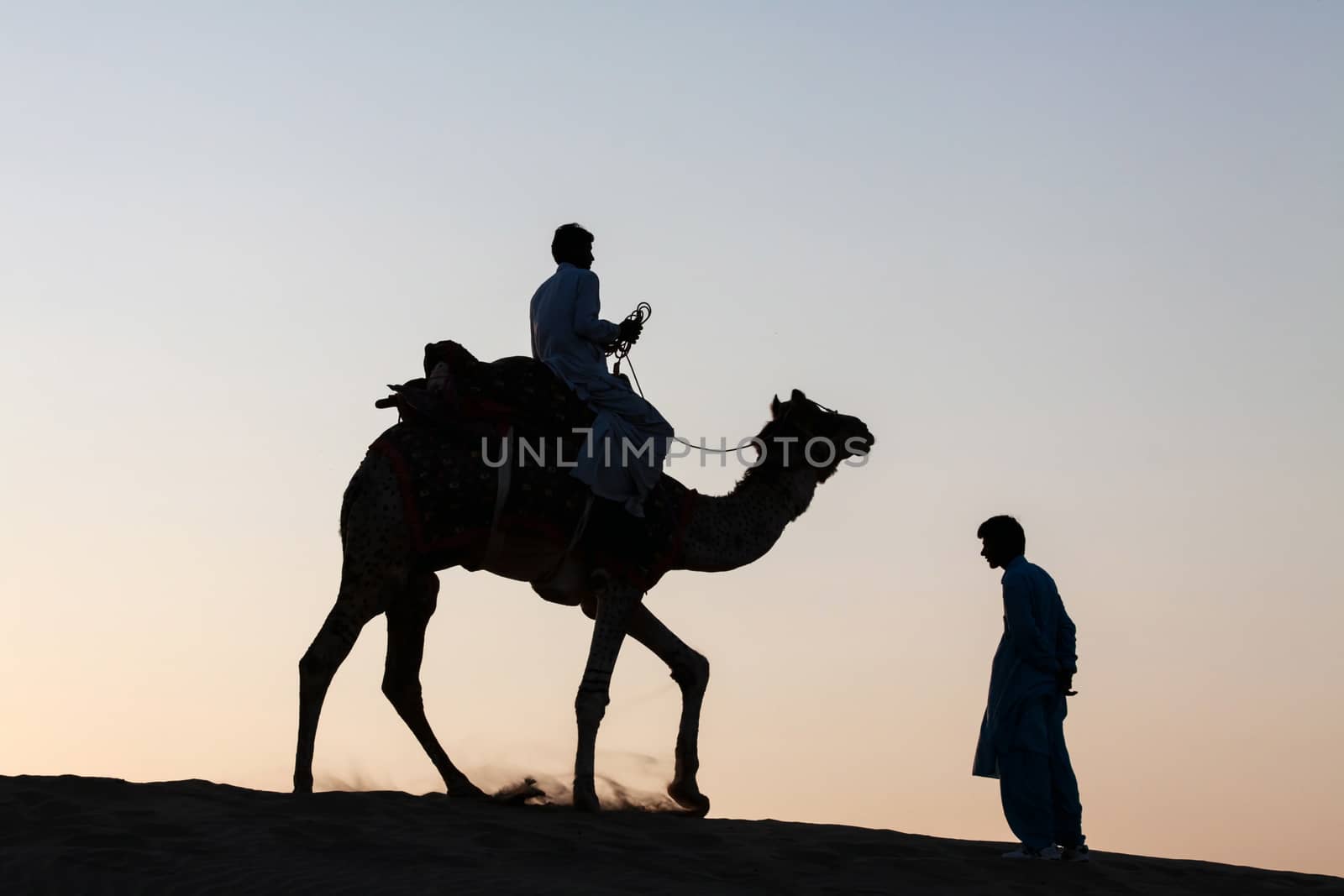 Single camel rider and person standing silhouetted dusk twilight by giddavr